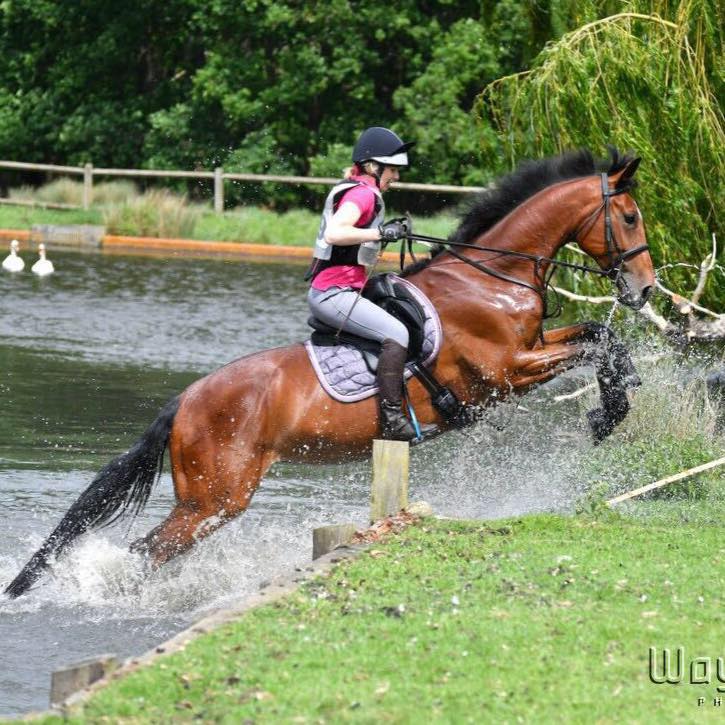 Cara Right Horse Right Home