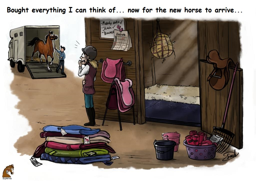 Funny Horse Greeting Cards - Right Horse Right Home