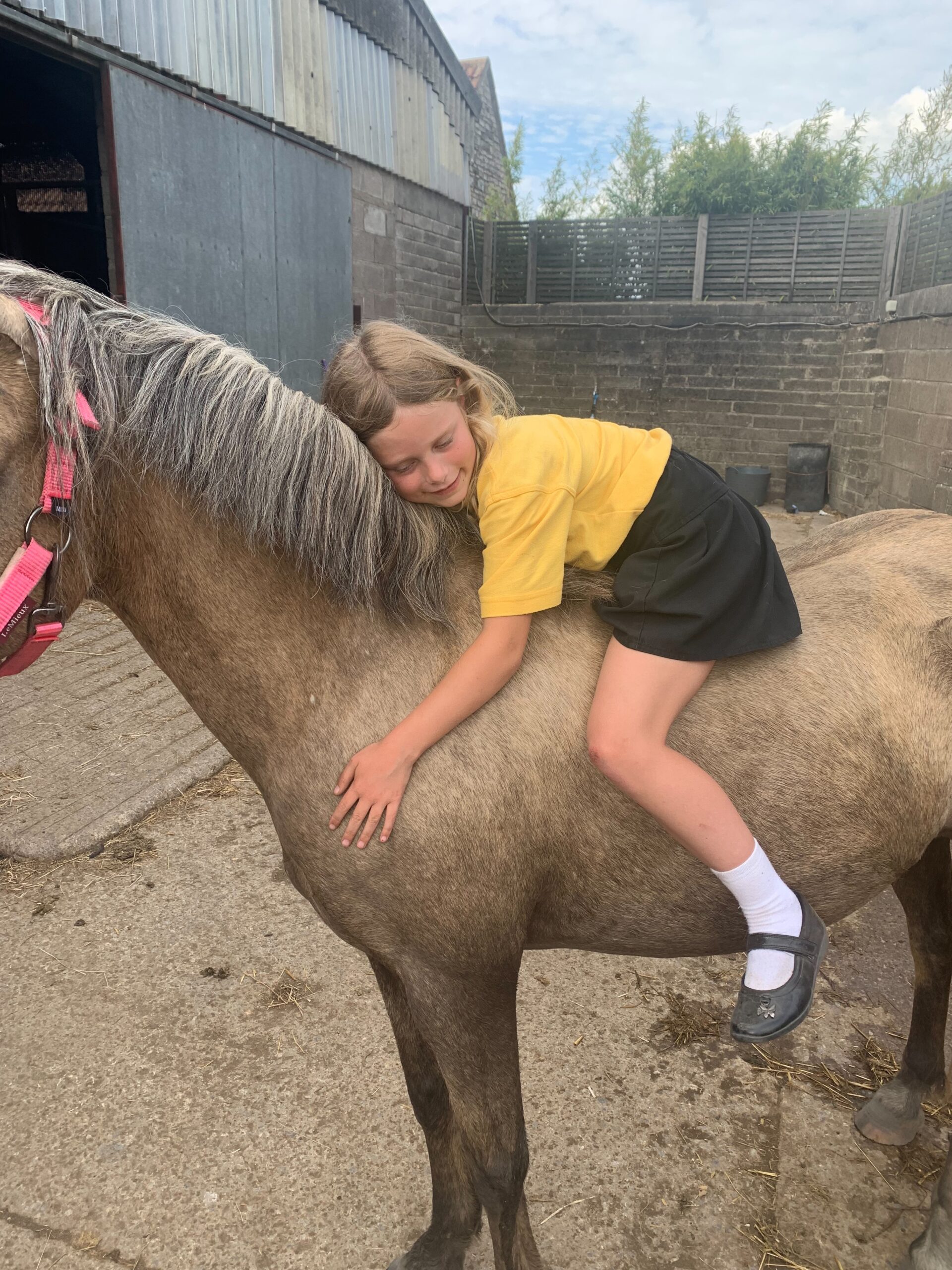 Dream First Pony for Hetty Right Horse Right Home