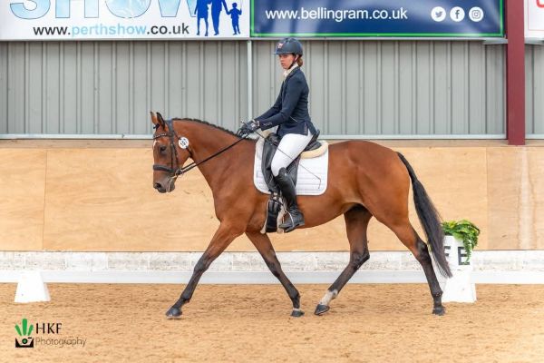 Brilliant Mother / Daughter Share / Allrounder - Right Horse Right Home