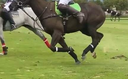 Retrained TB Played 5 Seasons of 6-10 Goal Polo