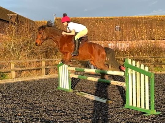 Fabulous 2nd Pony, PC / RC / NSEA