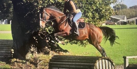 Stunning Thoroughbred Allrounder With Royal Connections.