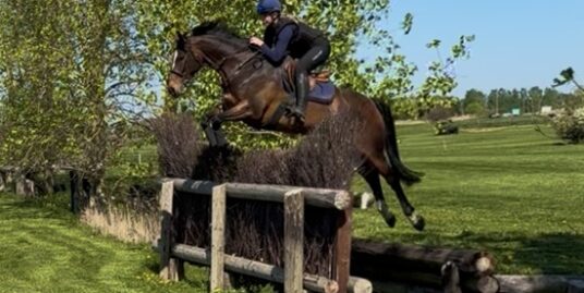 XC Machine – Competent Teenager / Amateurs Dream!