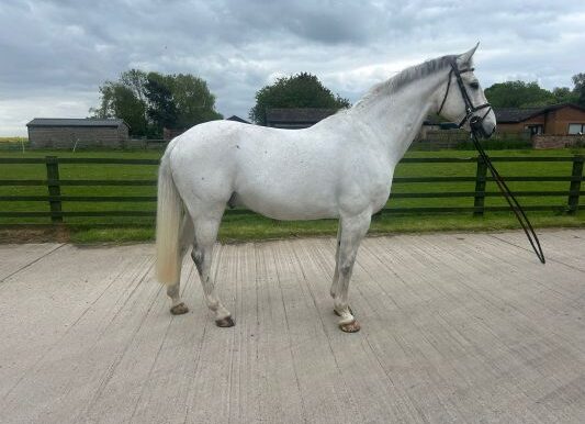 Ivor5