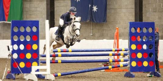 Talented Irish Sports Competition Pony