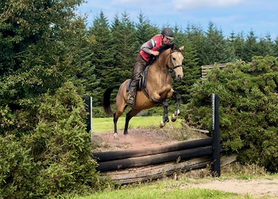 TWIXIRELAND - 2