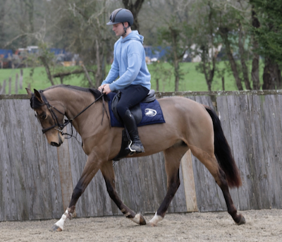 TWIXTROT - 1