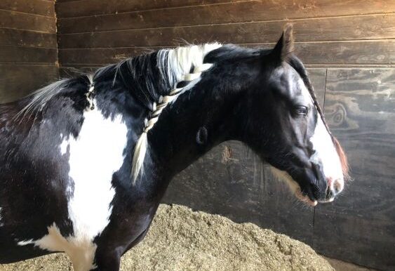 tiny4