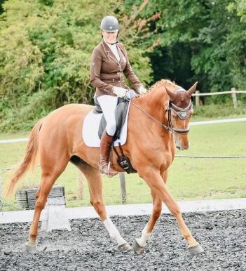 Dressage2