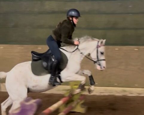 Goblin2