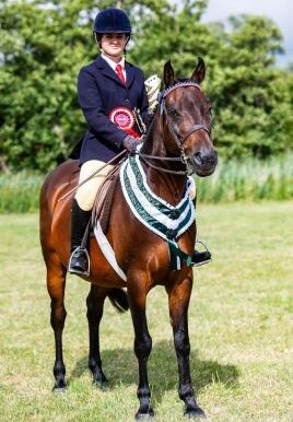 Hugo2