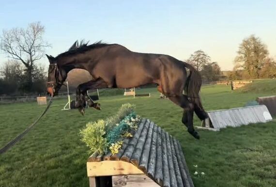 Lottie2