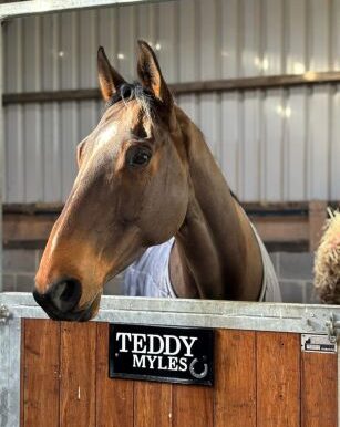 Teddy4