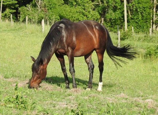 Treize3
