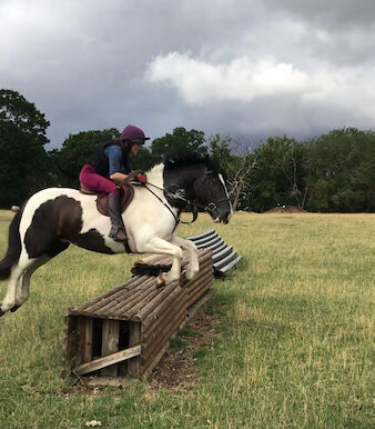 CLARENCemoreowners - 7