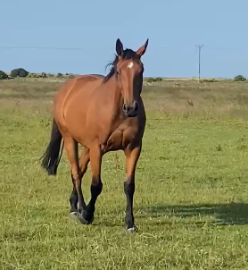 Itchy