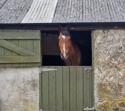 Rupert3