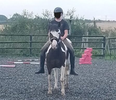 Shergar3