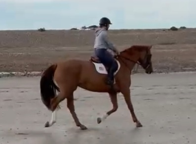 Tango5